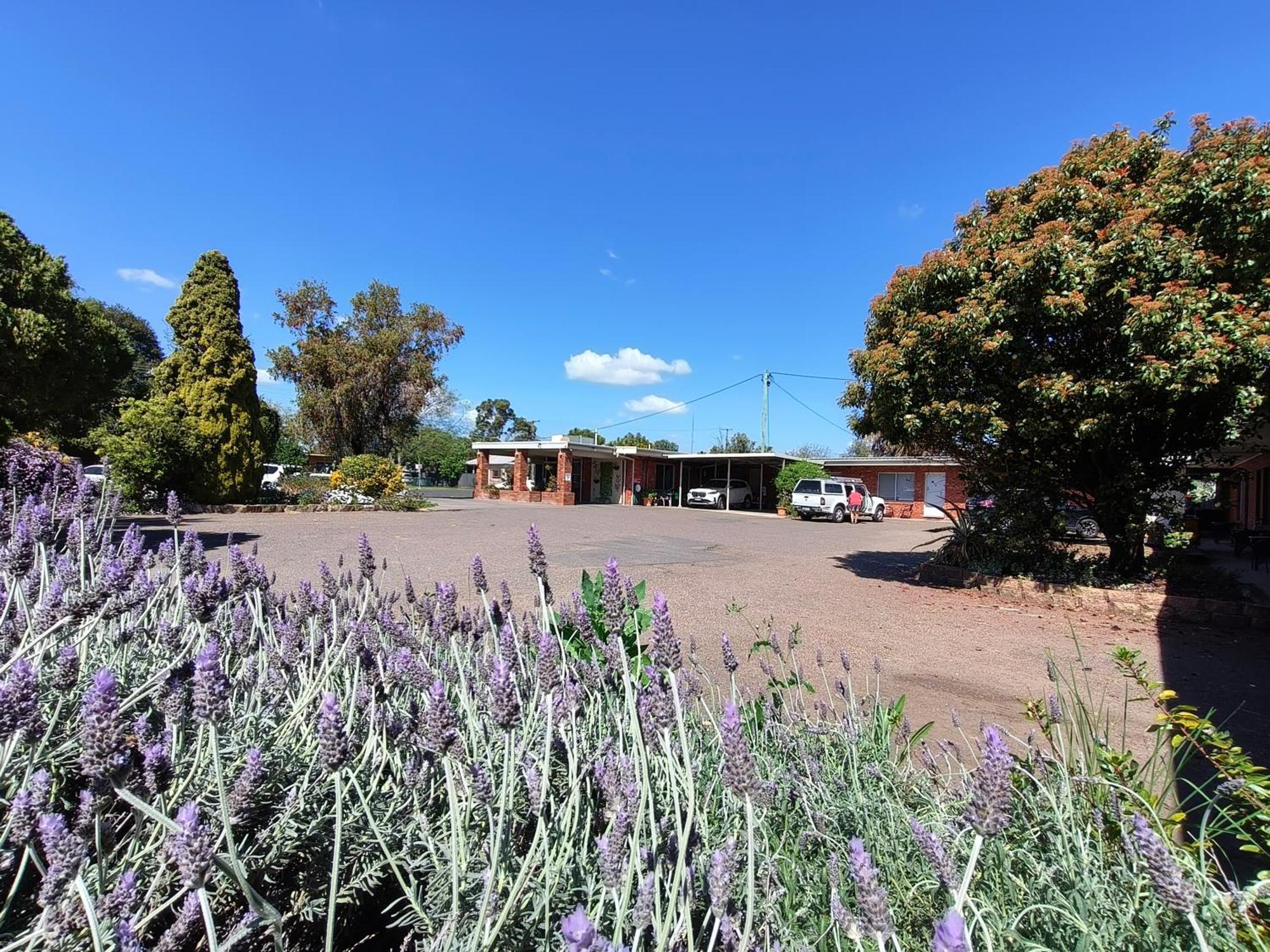 Red Chief Motel Gunnedah Exterior photo