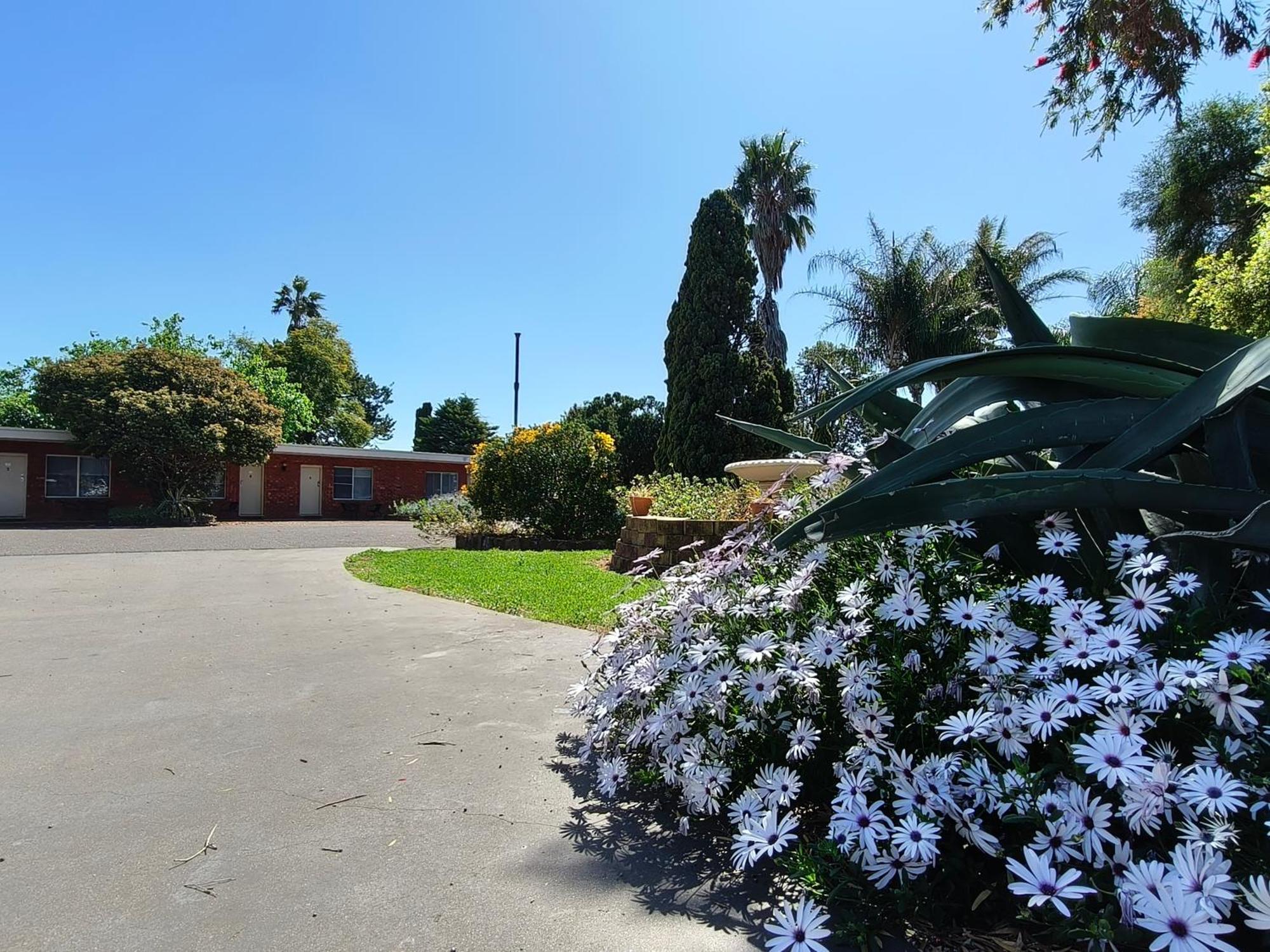 Red Chief Motel Gunnedah Exterior photo